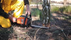 Best Lawn Watering Services  in Murray, UT